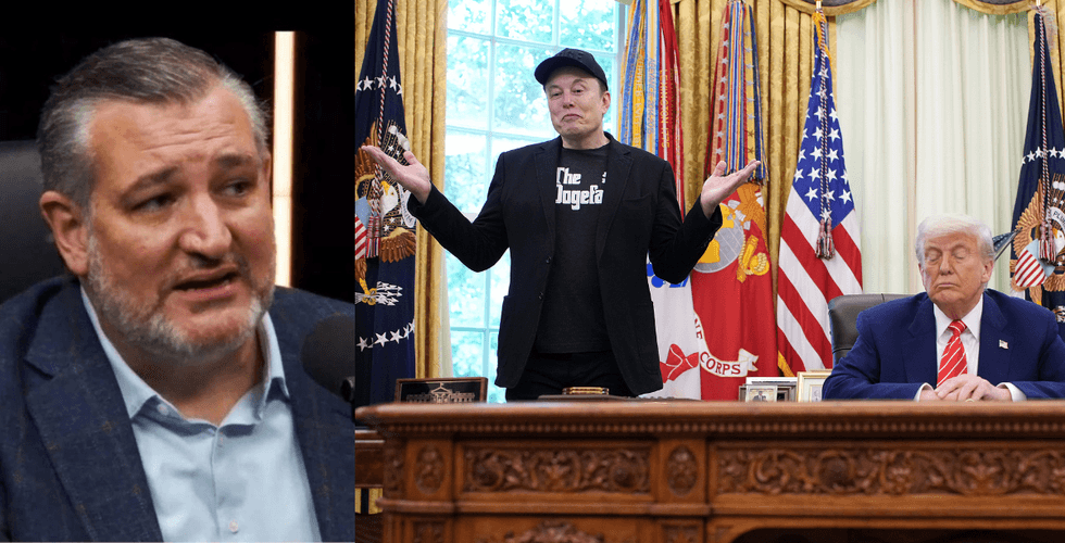 Ted Cruz Details How Trump Reacted After Elon Musk Tweeted That He's In The Epstein Files Amid Their Public Fallout—And Yiiikes