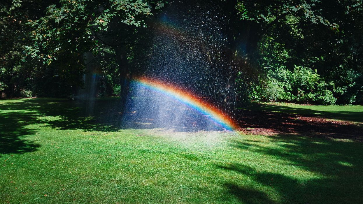 Rainbow reflected in sprinkler water