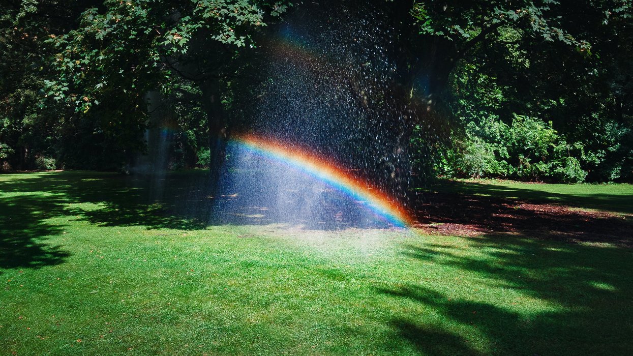 Rainbow reflected in sprinkler water