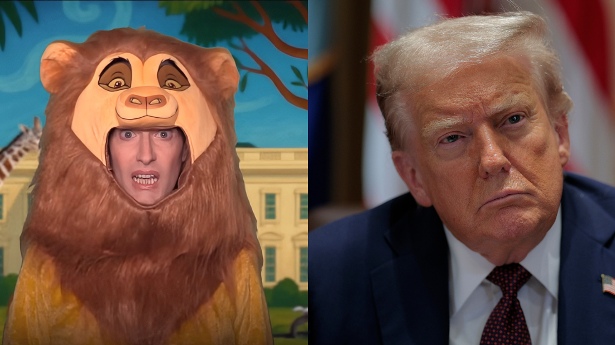 Randy Rainbow; Donald Trump