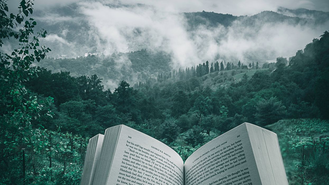 Reading book out in nature