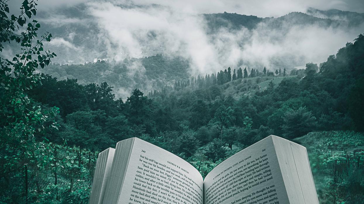 Reading book out in nature