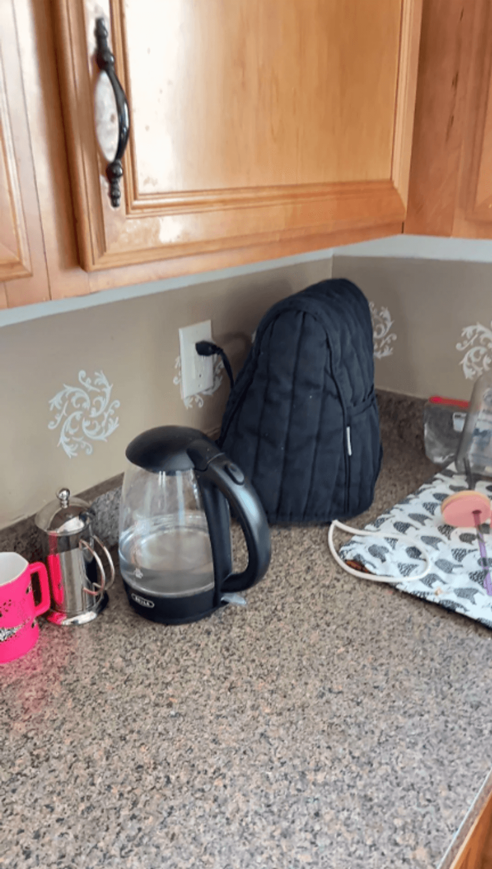 Redditor South-Basket-887's electric kettle