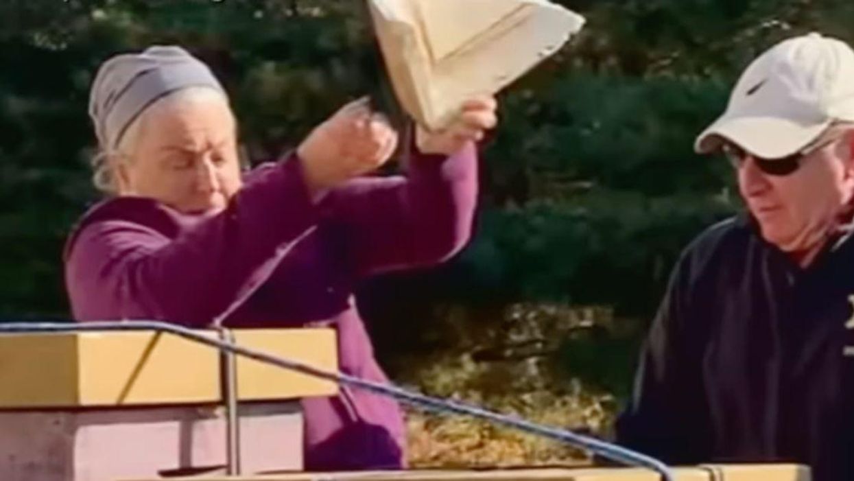 Rorie Woods unleashing hundreds of bees on sheriff's deputies from Hampden County