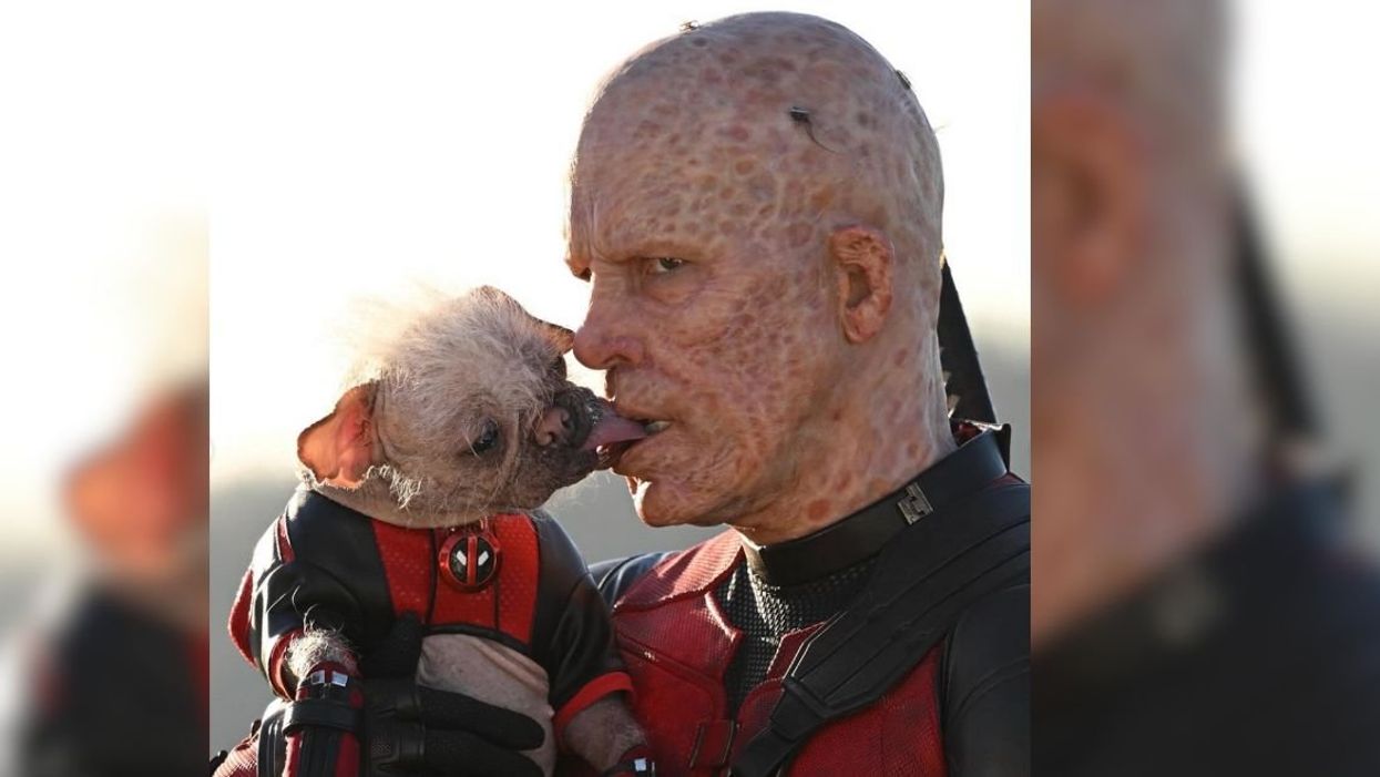 Ryan Reynolds as "Deadpool" with canine costar Peggy