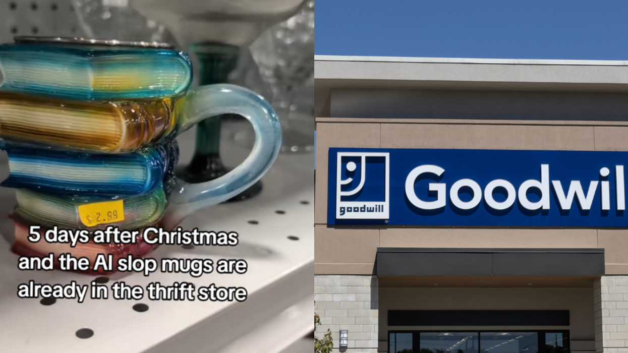 Screenshot from @princessfunnygirl's TikTok video; Goodwill storefront