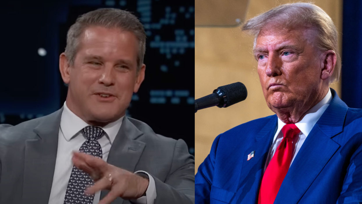 Screenshot of Adam Kinzinger; Donald Trump