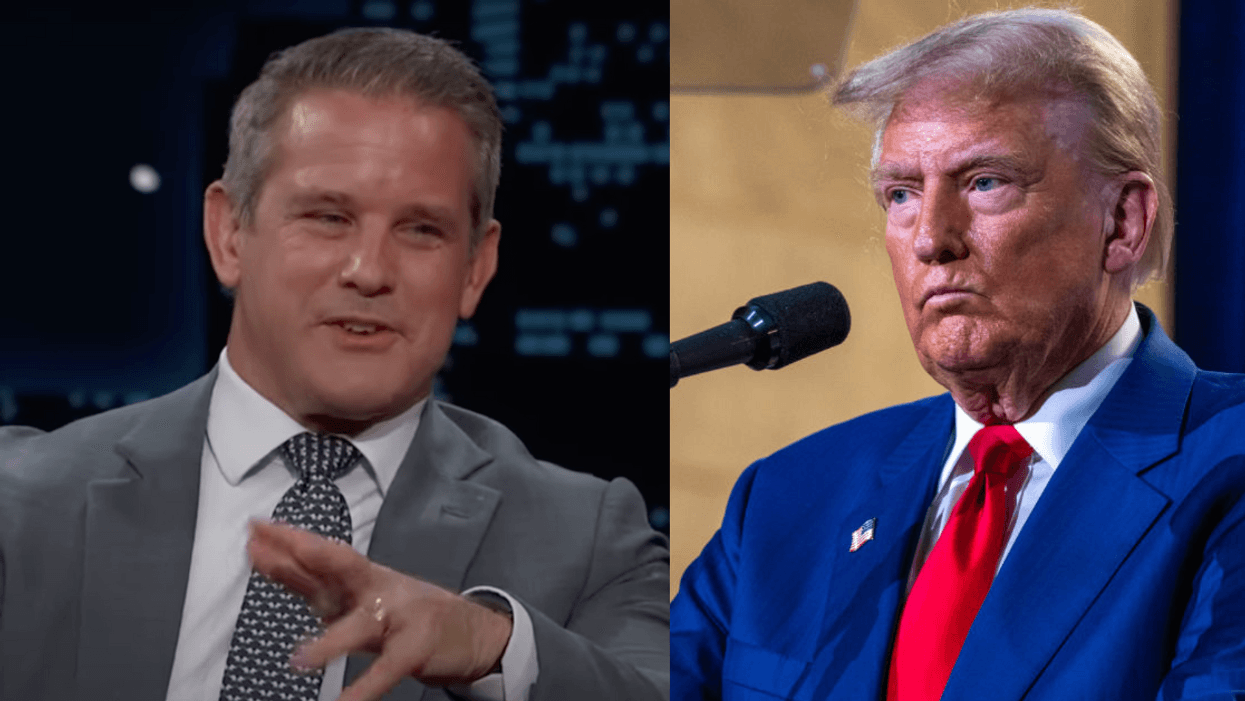 Screenshot of Adam Kinzinger; Donald Trump