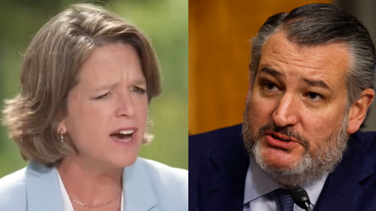 Screenshot of Ann Johnson; Ted Cruz