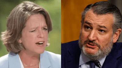 Screenshot of Ann Johnson; Ted Cruz