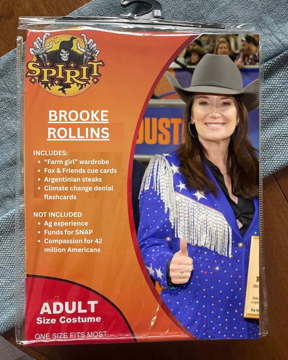 Screenshot of Brooke Rollins Spirit Halloween meme