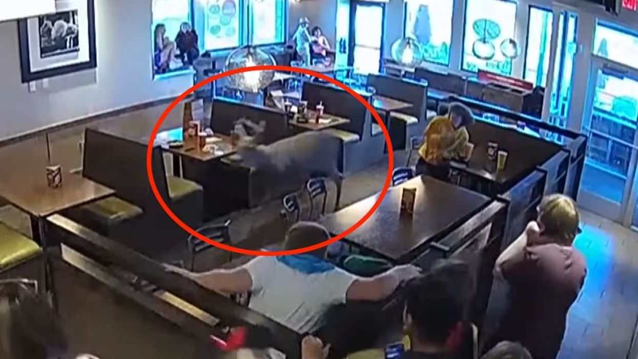 Screenshot of charging buck inside a Wisconsin Noodles & Company