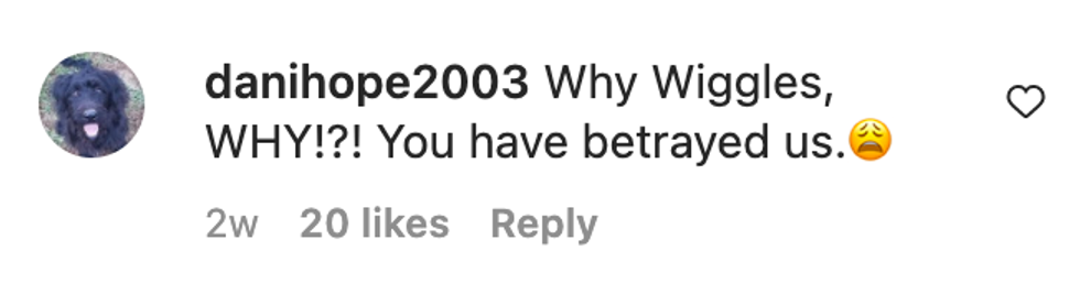 Screenshot of @danihope2003's post on Instagram