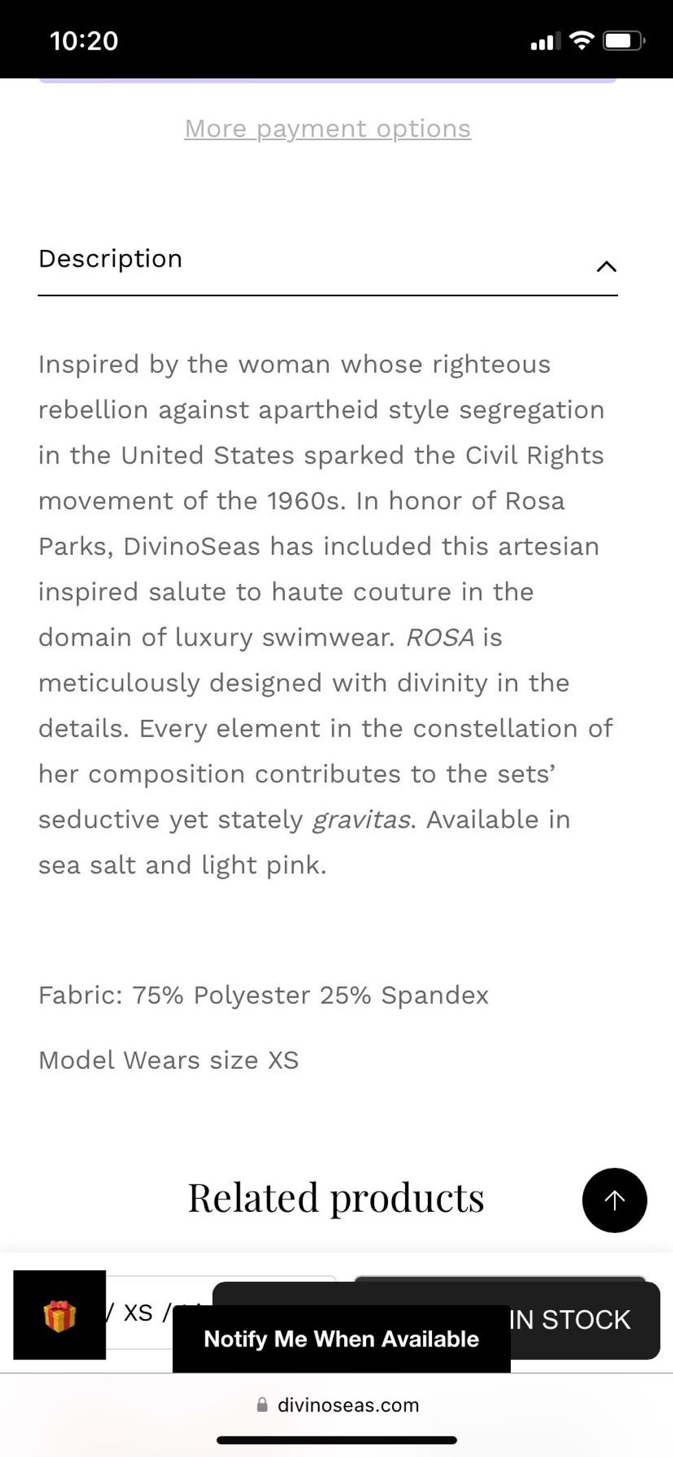 Screenshot of description for Rosa Parks-inspired bikini from DivinoSeas