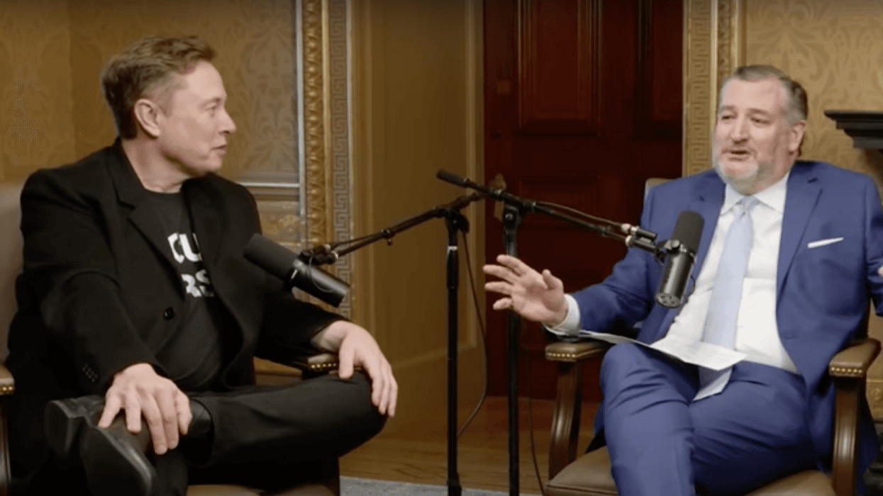 Screenshot of Elon Musk and Ted Cruz