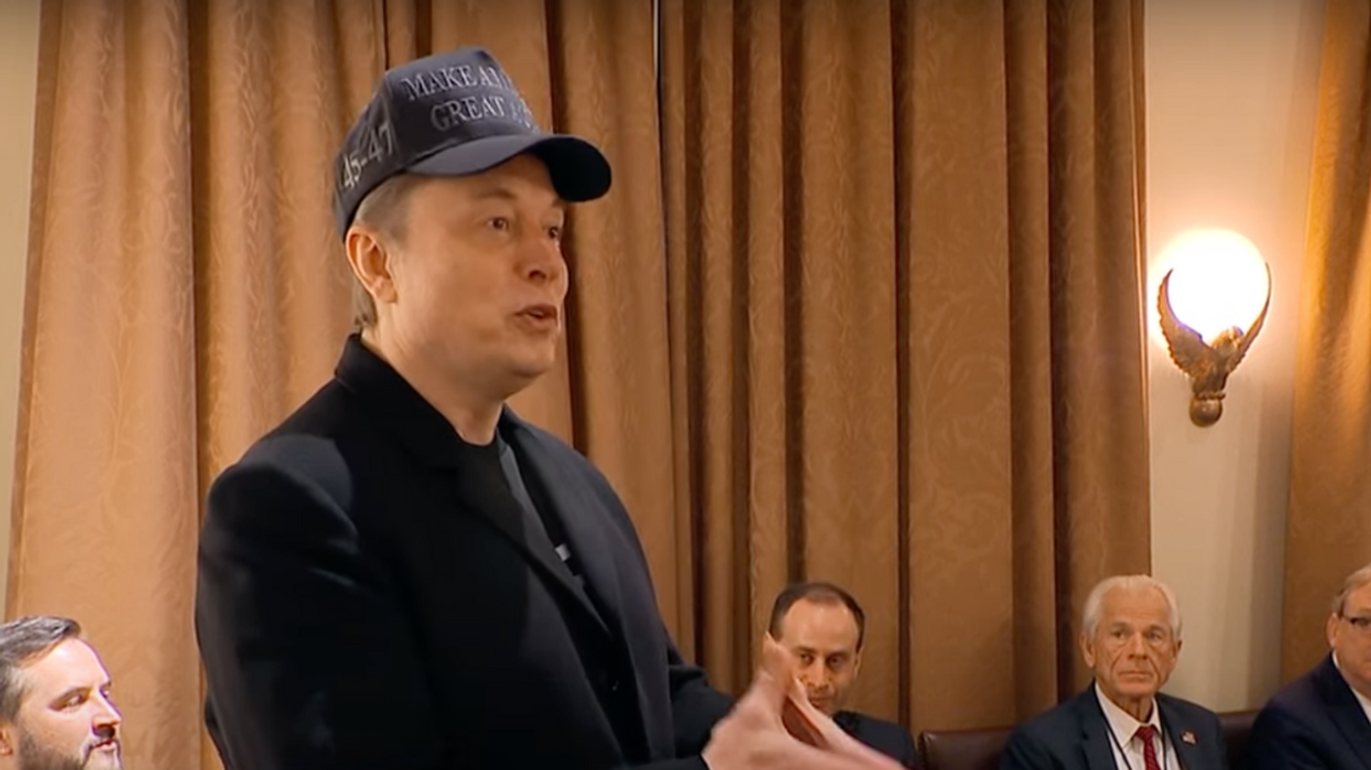 Screenshot of Elon Musk