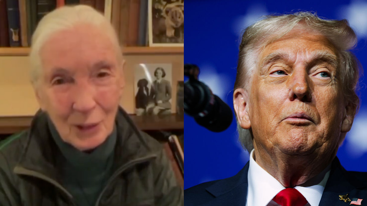 Screenshot of Jane Goodall; Donald Trump