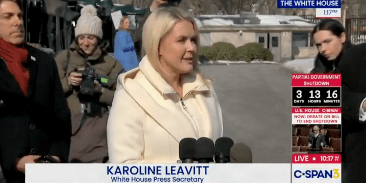 Karoline Leavitt Slammed Over Her Alarming Comments About The U.S. Constitution