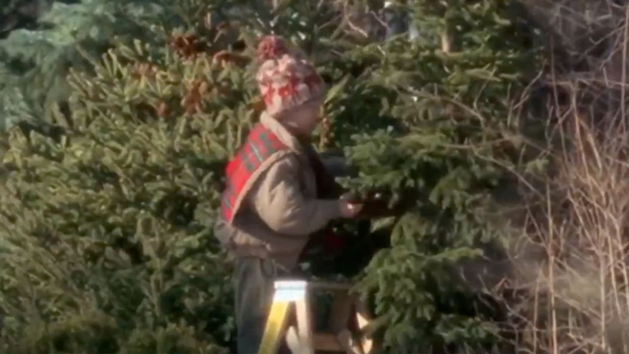 Screenshot of Macaulay Culkin as Kevin McCallister cutting down a tree