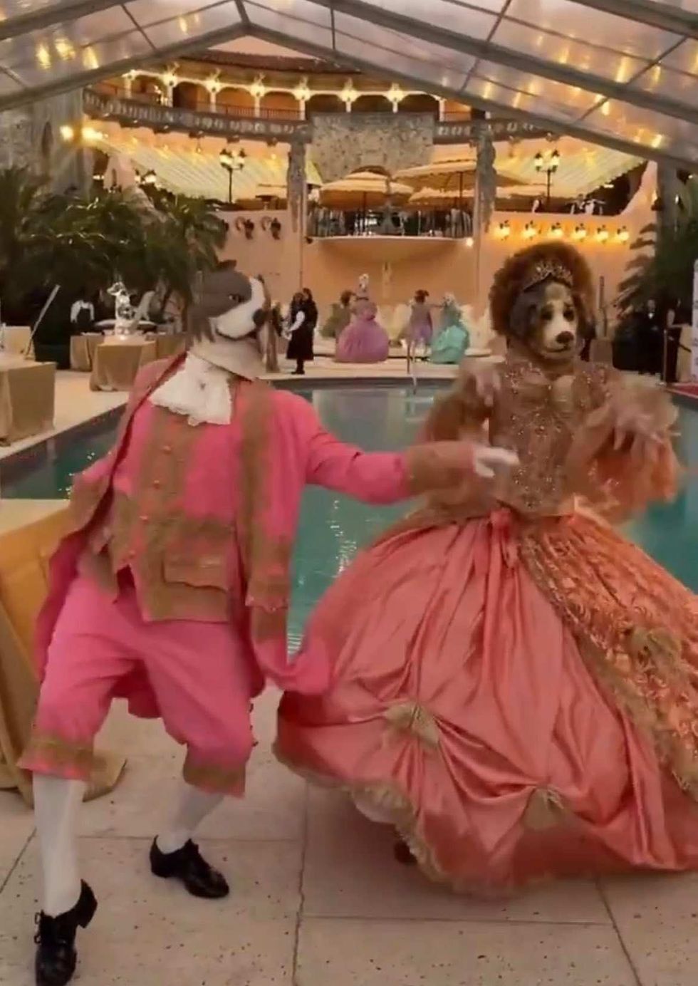 Screenshot of Mar-a-Lago attendees in dog costumes
