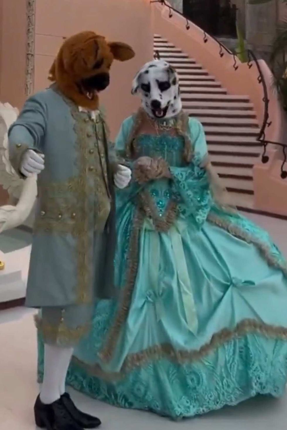 Screenshot of Mar-a-Lago attendees in dog costumes