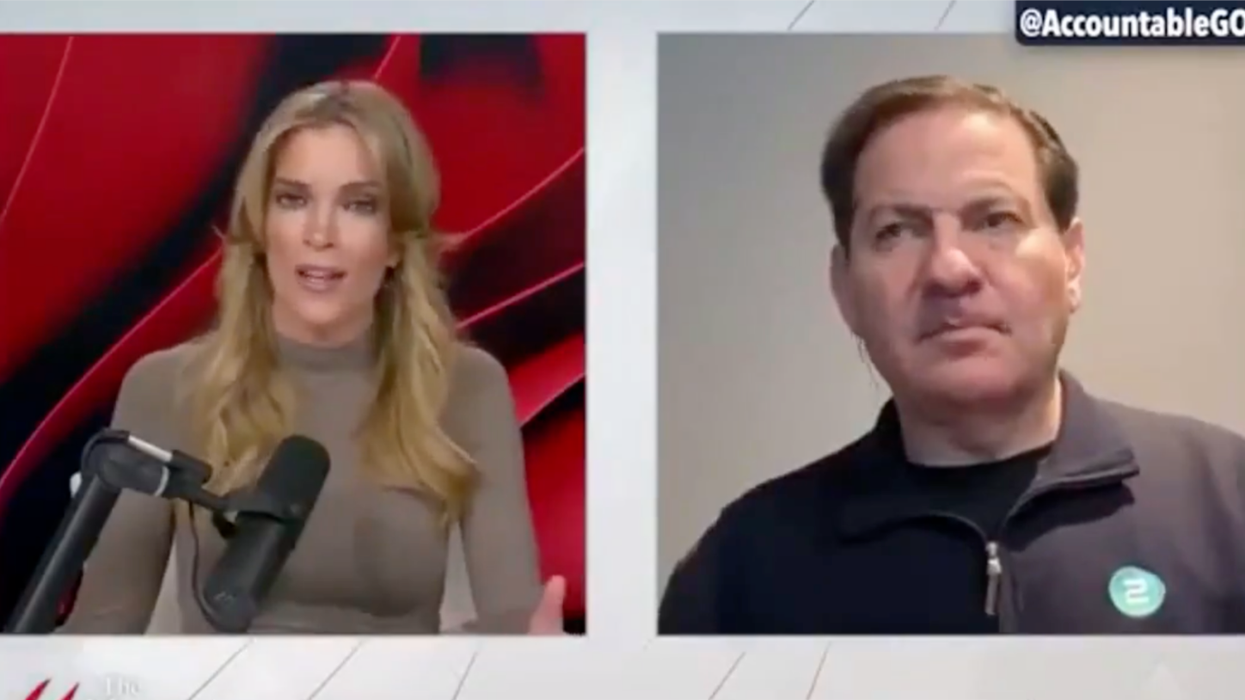 Screenshot of Megyn Kelly and her guest