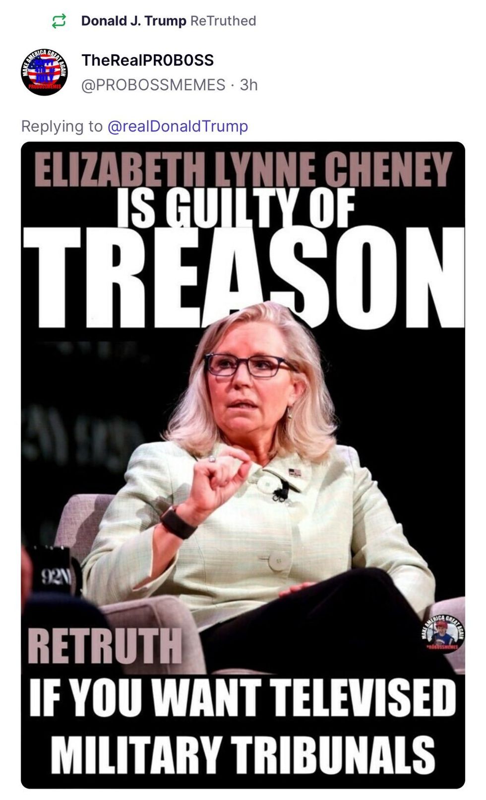 Screenshot of meme Donald Trump shared accusing Liz Cheney of "treason"