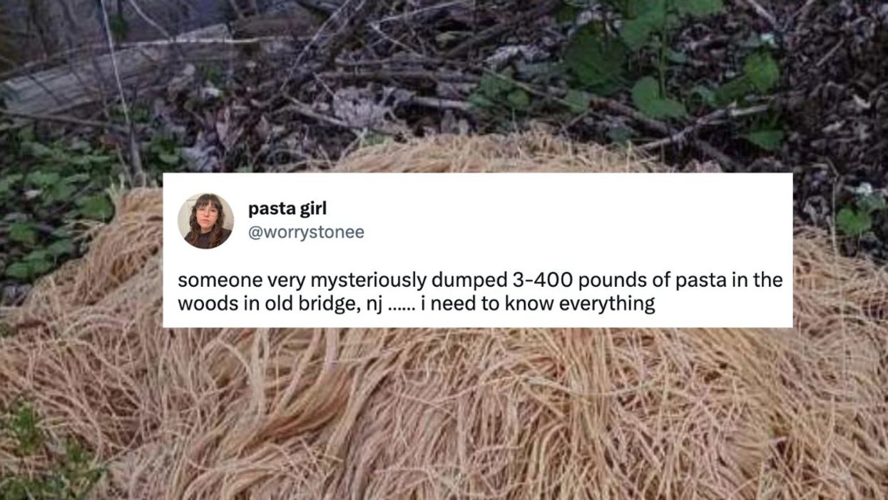 Screenshot of mound of spaghetti found in the woods, with tweet overlayed reading: "someone very mysteriously dumped 3-400 pounds of pasta in the woods in old bridge, nj ...... i need to know everything"