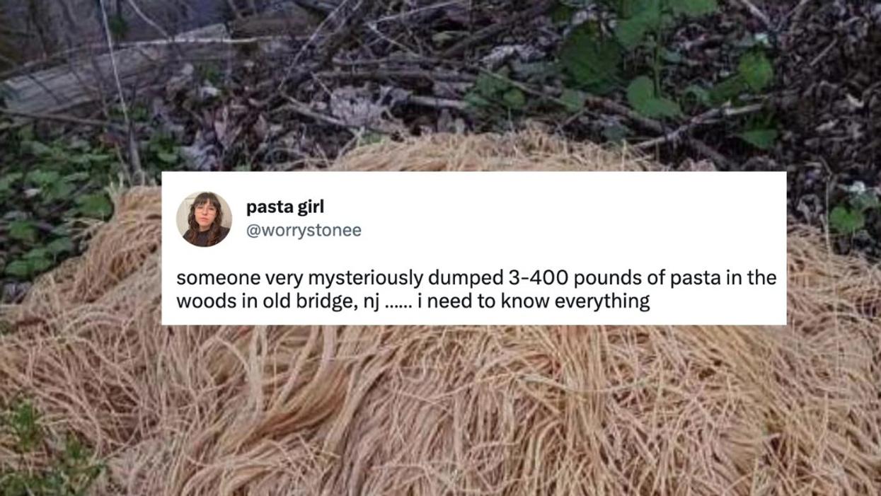 Screenshot of mound of spaghetti found in the woods, with tweet overlayed reading: "someone very mysteriously dumped 3-400 pounds of pasta in the woods in old bridge, nj ...... i need to know everything"