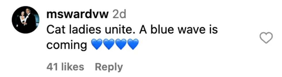 Screenshot of @mswardvw's post