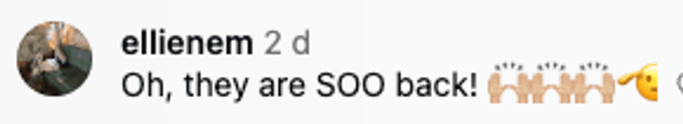 Screenshot of post by @ellienem