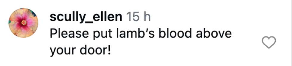 Screenshot of post by @scully_ellen