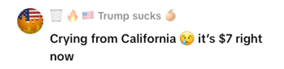 Screenshot of post by @trump.sucks1135809