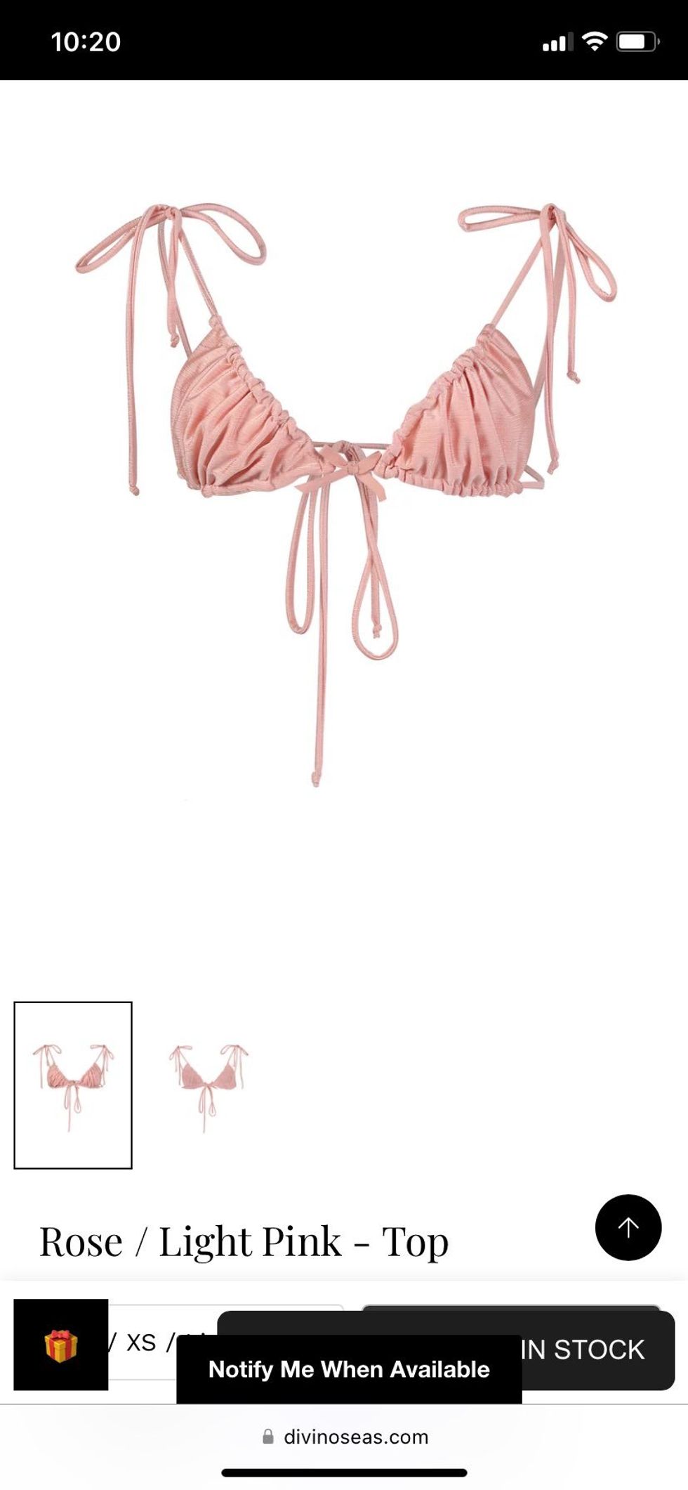 Screenshot of Rosa Parks-inspired bikini from DivinoSeas