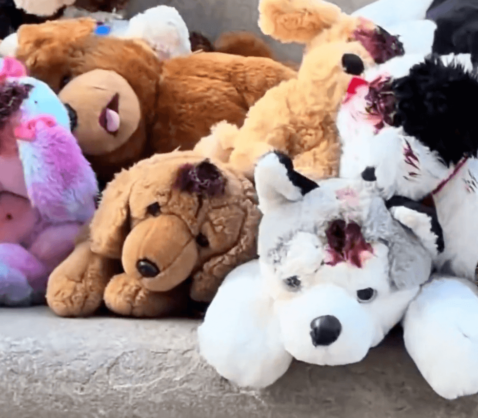 Screenshot of stuffed dogs with "bullet wounds" at memorial for Cricket