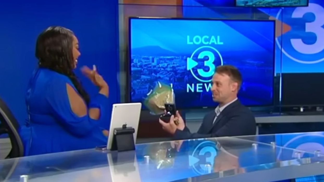 Screenshot of the proposal