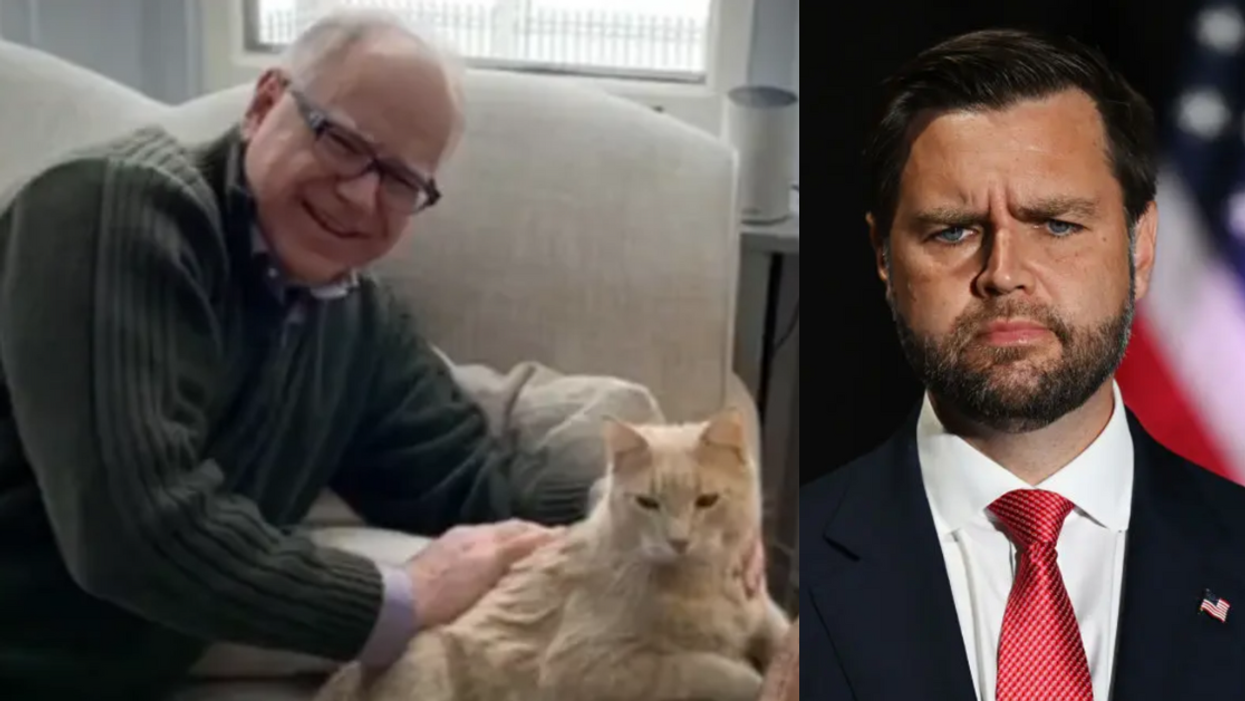 Screenshot of Tim Walz with his cat, Afton; J.D. Vance