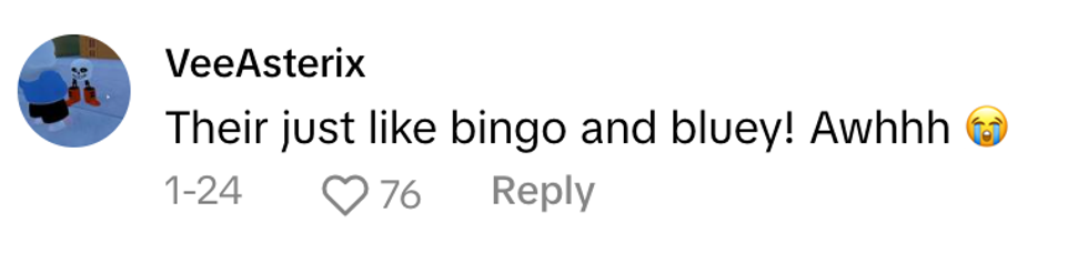 Screenshot of VeeAsterix's post