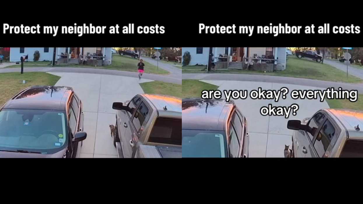 Screenshots from artsyfartsyag's TikTok video