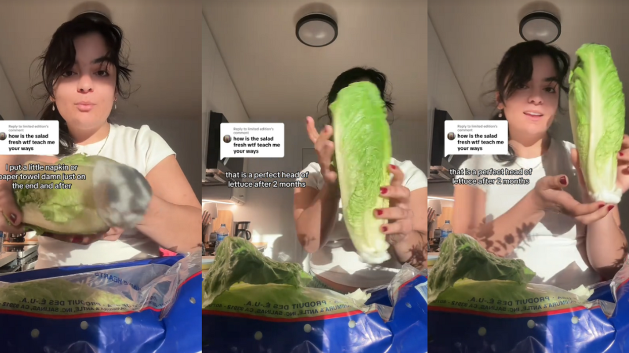 Screenshots from @budget.audit.save's TikTok video