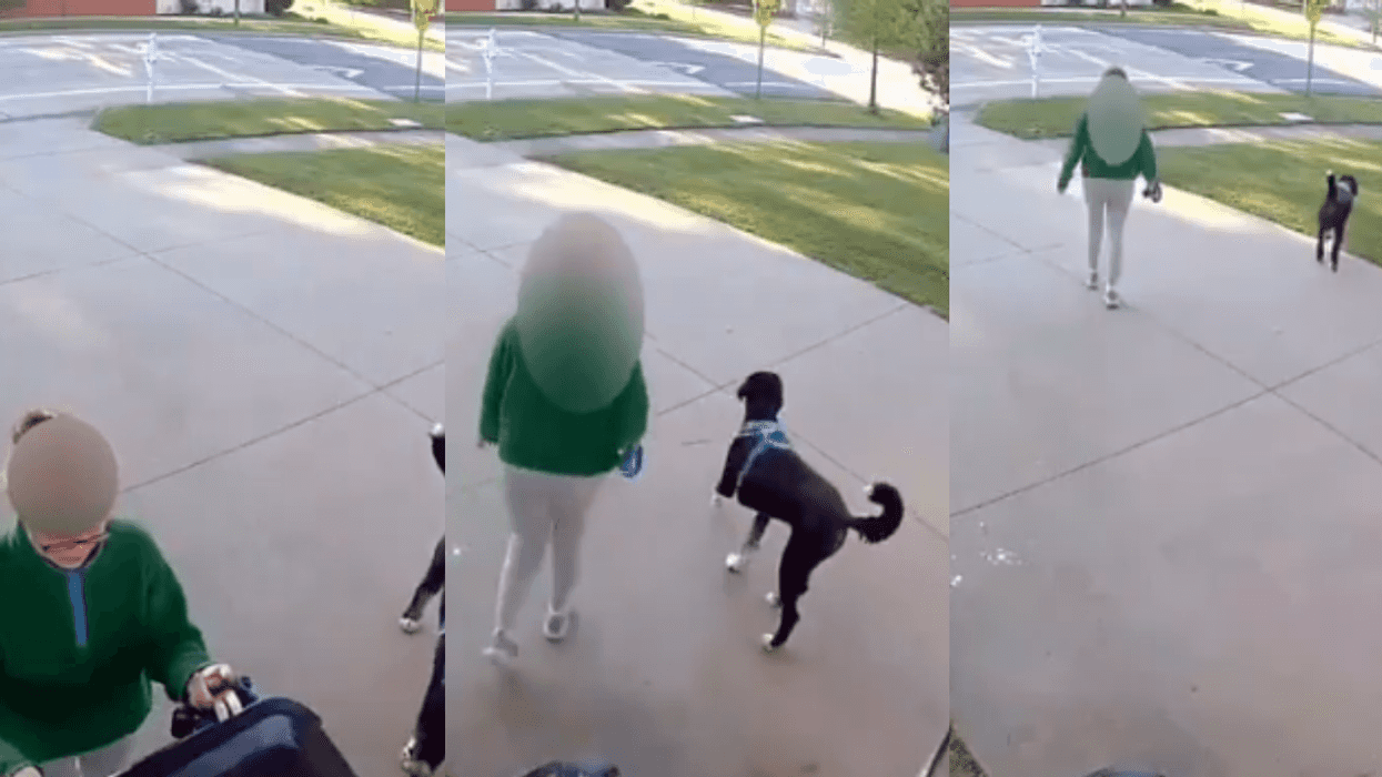 Screenshots from @ClownWorld's video footage on X