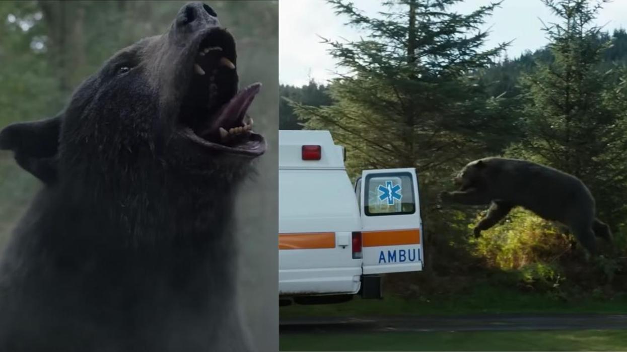 screenshots from "Cocaine Bear" trailer