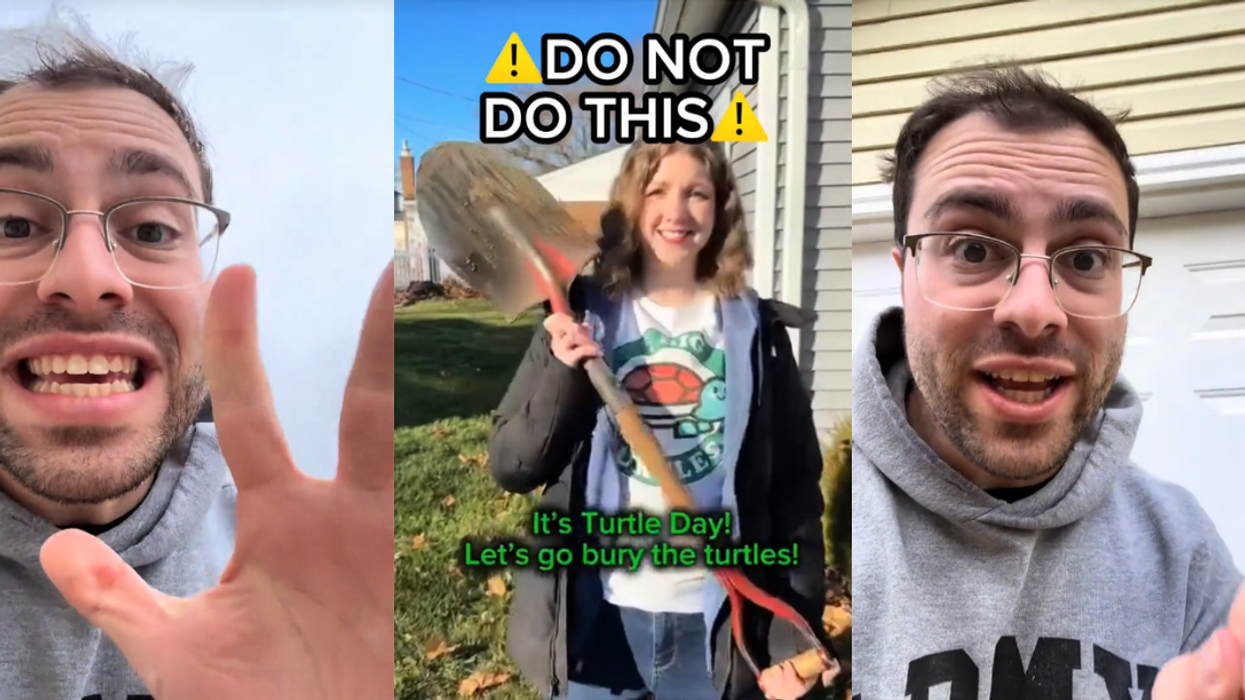 Screenshots from @dantheturtleman's TikTok video