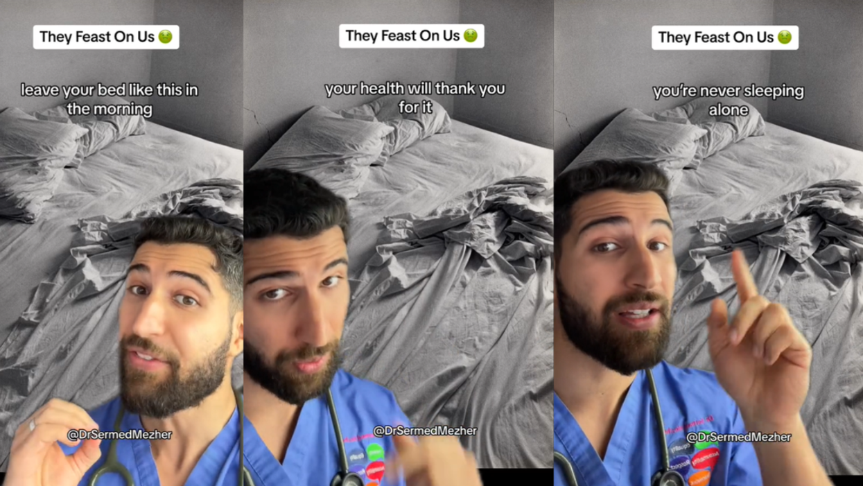 Screenshots from @DrSermedMezher's TikTok video