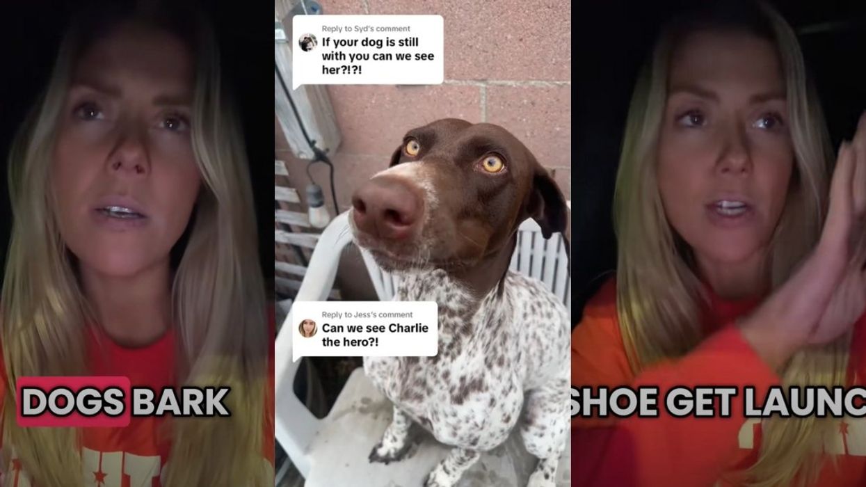 Screenshots from @Jessiebakerr1122's TikTok video