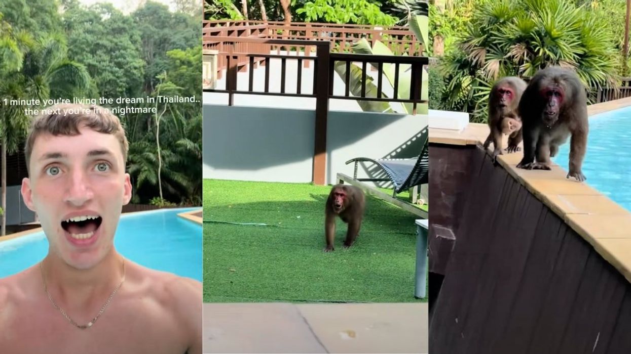 Screenshots from Kane Smith's TikTok video