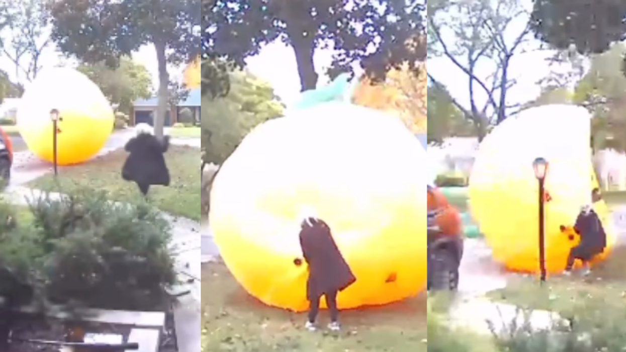 Screenshots from Katie Morgan's Instagram video