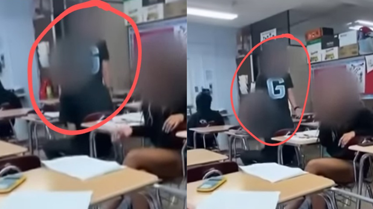 screenshots from Mary Walton's classroom video