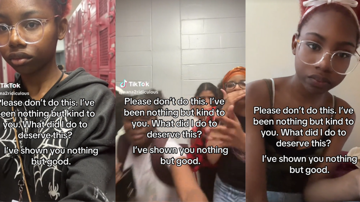 Screenshots from @navaermind's TikTok video