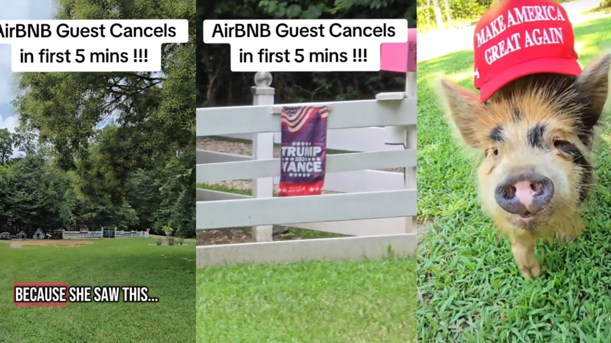Screenshots from @outskirtsofheavenfarm's TikTok video